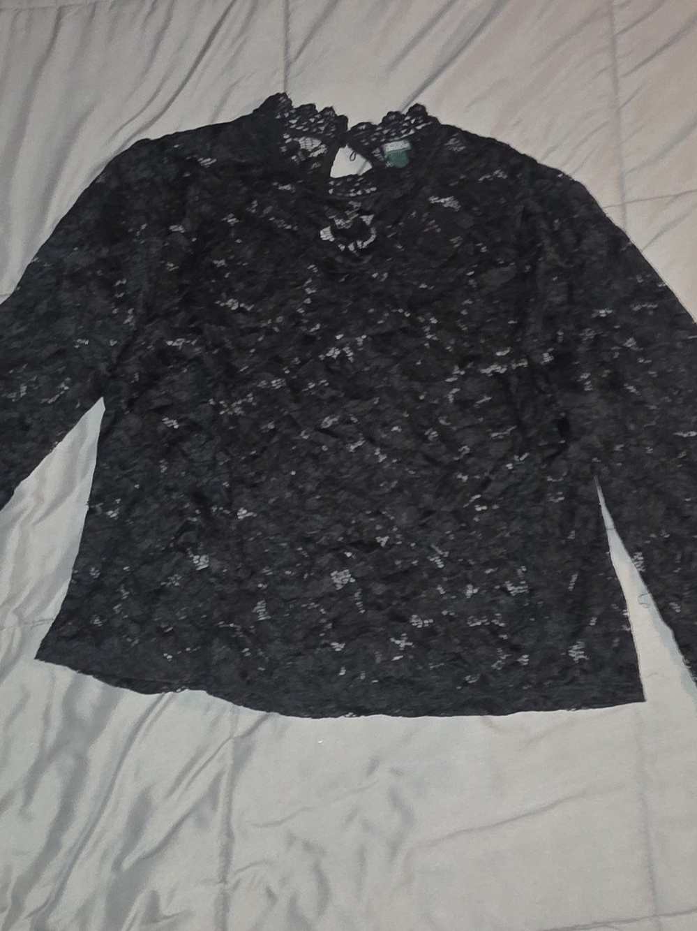 wild fable Black Lace Long Sleeve Blouse